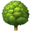 DECIDUOUS TREE emoji in Apple's design style - Unicode 1F333