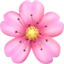 CHERRY BLOSSOM emoji in Apple's design style - Unicode 1F338