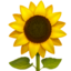 SUNFLOWER emoji in Apple's design style - Unicode 1F33B