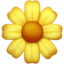 BLOSSOM emoji in Apple's design style - Unicode 1F33C