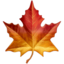 MAPLE LEAF emoji in Apple's design style - Unicode 1F341