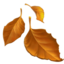 FALLEN LEAF emoji in Apple's design style - Unicode 1F342