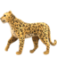 LEOPARD emoji in Apple's design style - Unicode 1F406