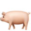 PIG emoji in Apple's design style - Unicode 1F416