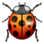 LADY BEETLE emoji in Apple's design style - Unicode 1F41E