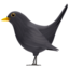 BLACK BIRD emoji in Apple's design style - Unicode 1F426-200D-2B1B