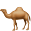 DROMEDARY CAMEL emoji in Apple's design style - Unicode 1F42A