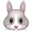 RABBIT FACE emoji in Apple's design style - Unicode 1F430