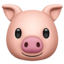 PIG FACE emoji in Apple's design style - Unicode 1F437