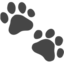 PAW PRINTS emoji in Apple's design style - Unicode 1F43E