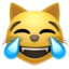 CAT FACE WITH TEARS OF JOY emoji in Apple's design style - Unicode 1F639