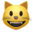 SMILING CAT FACE WITH OPEN MOUTH emoji in Apple's design style - Unicode 1F63A