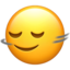 HEAD SHAKING HORIZONTALLY emoji in Apple's design style - Unicode 1F642-200D-2194-FE0F