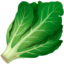 LEAFY GREEN emoji in Apple's design style - Unicode 1F96C