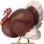 TURKEY emoji in Apple's design style - Unicode 1F983