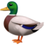 DUCK emoji in Apple's design style - Unicode 1F986