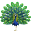 PEACOCK emoji in Apple's design style - Unicode 1F99A