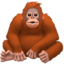 ORANGUTAN emoji in Apple's design style - Unicode 1F9A7