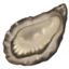 OYSTER emoji in Apple's design style - Unicode 1F9AA