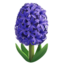 HYACINTH emoji in Apple's design style - Unicode 1FABB