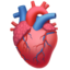 ANATOMICAL HEART emoji in Apple's design style - Unicode 1FAC0