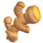 GINGER ROOT emoji in Apple's design style - Unicode 1FADA