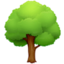 DECIDUOUS TREE emoji in Facebook's design style - Unicode 1F333