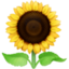 SUNFLOWER emoji in Facebook's design style - Unicode 1F33B