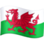 Wales Flag emoji in Facebook's design style - Unicode 1F3F4-E0067-E0062-E0077-E006C-E0073-E007F