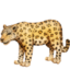 LEOPARD emoji in Facebook's design style - Unicode 1F406