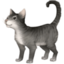 CAT emoji in Facebook's design style - Unicode 1F408