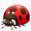 LADY BEETLE emoji in Facebook's design style - Unicode 1F41E