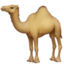 DROMEDARY CAMEL emoji in Facebook's design style - Unicode 1F42A