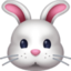 RABBIT FACE emoji in Facebook's design style - Unicode 1F430