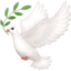 DOVE emoji in Facebook's design style - Unicode 1F54A-FE0F