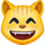 GRINNING CAT FACE WITH SMILING EYES emoji in Facebook's design style - Unicode 1F638