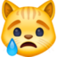 CRYING CAT FACE emoji in Facebook's design style - Unicode 1F63F