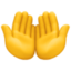 PALMS UP TOGETHER emoji in Facebook's design style - Unicode 1F932