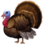 TURKEY emoji in Facebook's design style - Unicode 1F983