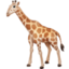 GIRAFFE FACE emoji in Facebook's design style - Unicode 1F992