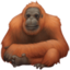 ORANGUTAN emoji in Facebook's design style - Unicode 1F9A7