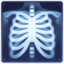 X-RAY emoji in Facebook's design style - Unicode 1FA7B