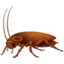 COCKROACH emoji in Facebook's design style - Unicode 1FAB3