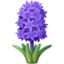 HYACINTH emoji in Facebook's design style - Unicode 1FABB