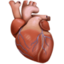 ANATOMICAL HEART emoji in Facebook's design style - Unicode 1FAC0