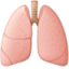 LUNGS emoji in Facebook's design style - Unicode 1FAC1