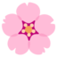 CHERRY BLOSSOM emoji in Google's design style - Unicode 1F338