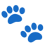 PAW PRINTS emoji in Google's design style - Unicode 1F43E