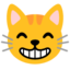 GRINNING CAT FACE WITH SMILING EYES emoji in Google's design style - Unicode 1F638