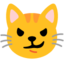 CAT FACE WITH WRY SMILE emoji in Google's design style - Unicode 1F63C